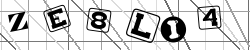 Insert captcha