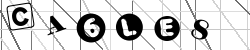 Insert captcha