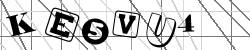 Insert captcha