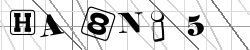 Insert captcha
